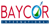 Baycor International Logotype