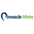 Pinnacle Webs Logotype