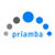 Priamba Soft LLC Logotype