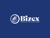 Bizex LLC | Business Setup Consultant In Dubai Logotype