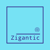 Zigantic Logotype