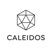 Caleidos Logotype