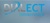 Dialect Teleservices SA de CV Logotype