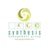 Synthesis Management Group Logotype