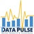 Data Pulse Market Research & Consultancy Logotype