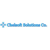 Chelsoft Solutions Co. Logotype