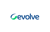 Evolve Logotype