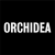 Orchidea Agency Logotype