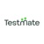 TestMate Logotype