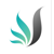 BAS Wise Logotype