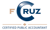 Francisco E Cruz, CPA Logotype