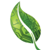 ISafe Technologies, Inc. Logotype