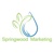 Springwood Marketing Logotype