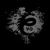 Dragon Evo Logotype