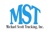 Michael Scott Trucking Logotype