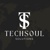 Techsoul Solutions Logotype