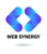 Web Synergy Logotype