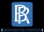 BERNHARDT Mold Inspection, Remediation, and Restoration Logotype