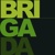 Brigada Logotype