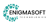 EnigmaSoft Technologies Logotype