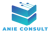 Anie Consultant Inc. Logotype