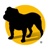 Pavone Group Logotype