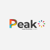 Peak Media Consulting Company Logotype