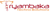 Tryambaka Techno Solutions Logotype