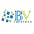 BVINFOTECH PVT LTD Logotype