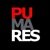 Pumares Logotype