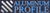 Aluminum Profile Logotype