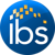 Intelligent Business Solutions - NC Logotype