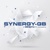 Synergy Global Business, C.A. Logotype