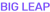 BigLeap Marketing Logotype
