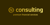 N CONSULTING PREMIUM FINANCIAL SERVICES SINGLE P.C. Logotype