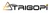 TrigoPi Logotype