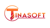 Tinasoft Vietnam Logotype