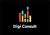 Digi Consult Logotype