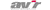 Avir Realty Group, LLC Logotype