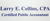 Larry E. Collins, CPA Logotype