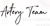 Artery Team Logotype