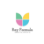 Ray Formula Logotype