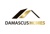 Damascus Homes LLC Logotype