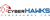 CyberHAWKS Logotype