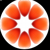 21Petals Logotype