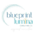 Blueprint Lumina Consulting LLC Logotype
