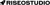 RiseoStudio Logotype