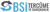 BSİ Tercüme ve Danışmanlık Hizmetleri Logotype