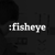 Fisheye Logotype