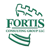 Fortis Consulting Group LLC Logotype